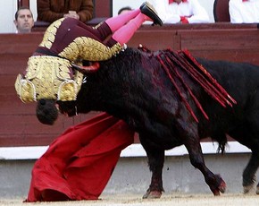 Julio Aparicio Corneado